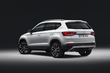 Prvi test križanca Seat Ateca fotografija 5