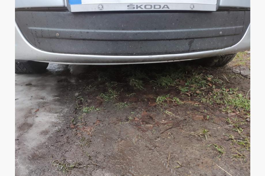 Skoda Octavia II A5 2010–2013 Zimski pokrov maske (spodnji) Image