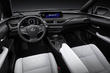 Pregled novega kompaktnega križanca Lexus UX 200 fotografija 6
