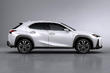 Pregled novega kompaktnega križanca Lexus UX 200 fotografija 4
