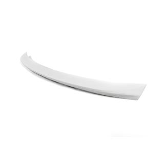 Spojler Anatomic (za barvanje) fotografija 2