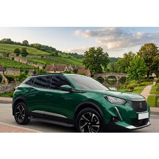 Stranske stopnice Allmond Black (2 kos, aluminij) Peugeot 3008 2016–2023 fotografija 1