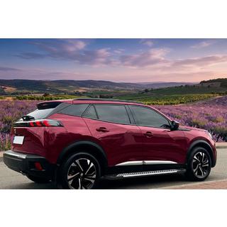 Stranske stopnice Line (2 kosa, aluminij) Peugeot 3008 2016–2023 fotografija 1