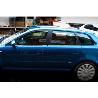 Spodnje okenske letvice (nerjavno jeklo) Audi A3 2003–2012 fotografija 4