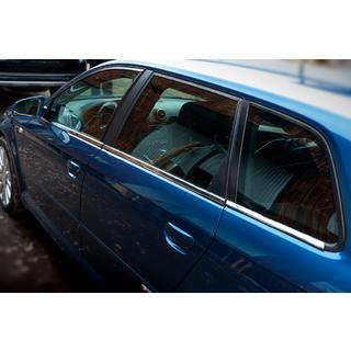 Spodnje okenske letvice (nerjavno jeklo) Audi A3 2003–2012 fotografija 3