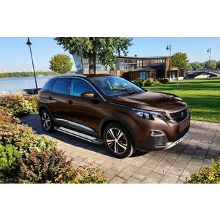 Stranske stopnice Rainbow (2 kosa, aluminij) Peugeot 3008 2016–2023 fotografija 1