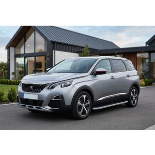 Stranski pragovi Tayga Grey (2 kosa, aluminij) fotografija 1