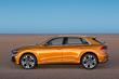 Pregled novega premium križanca Audi Q8 fotografija 2