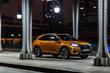Pregled premijskega križanca DS 7 Crossback fotografija 3
