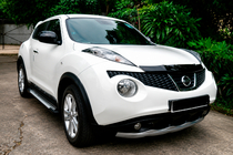 Nissan Juke 2010–2019 Stranske stopnice Allmond Grey (2 kosa, aluminij) fotografija 1