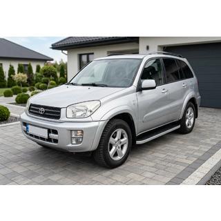 Stranske stopnice Tayga (2 kosa, aluminij) fotografija 1