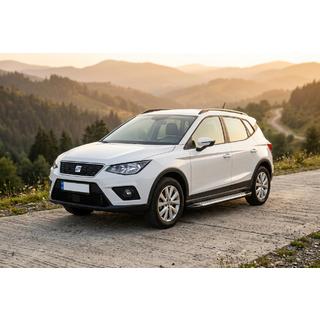 Stranske stopnice Allmond Grey (2 kosa, aluminij) Seat Arona 2017– fotografija 1