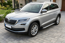 Skoda Kodiaq 2016–2023 Stranske stopnice Allmond Grey (2 kosa, aluminij) fotografija 1