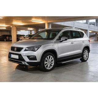 Bočne stopnice Bosphore Grey (2 kosa, aluminij) fotografija 1