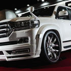 Toyota Land Cruiser 200 2007–2021 Komplet body kita 2016-2021 (Wald) fotografija 27