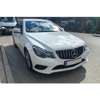 Sprednja rešetka hladilnika (2014-2016, GT Panamericana) fotografija 4