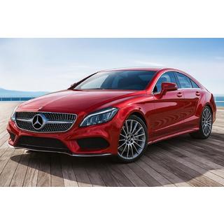 Sprednja rešetka hladilnika 2014-2018 (Diamond Silver) Mercedes CLS C218 2011–2018 fotografija 1