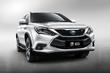 Hibridni sedemsedežni križanec BYD Tang 100 fotografija 5