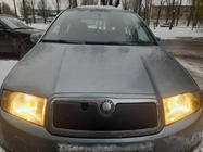 Skoda Fabia 2000–2007 Zimska zaščita hladilne rešetke fotografija 1
