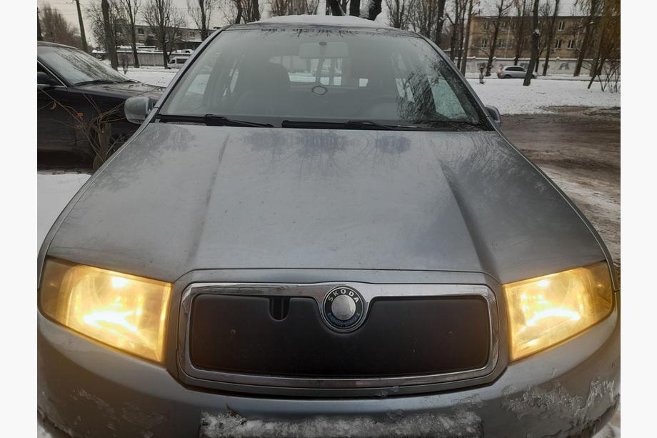 Skoda Fabia 2000–2007 Zimska zaščita hladilne rešetke Image