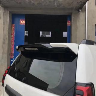 Vstavek spojlerja (namestitev preko serijskega spojlerja) fotografija 2