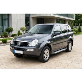 Stranske stopnice Allmond Grey (2 kosa, aluminij) SsangYong Rexton I 2001–2017 fotografija 1