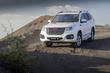 Sedemsedežni terenski SUV s šasijo Haval H9 fotografija 1