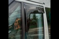 Ford Transit 2000–2014 Vetrni deflektorji za okna (2 kosa, HIC) fotografija 10
