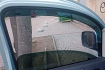 Renault Kangoo 2008–2020 Vstavljivi deflektorji za okna (2 kos, HIC) fotografija 11