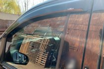 Mercedes Vito/V-razred W447 2014– Vetrni deflektorji za okna (2 kosa, HIC) fotografija 11