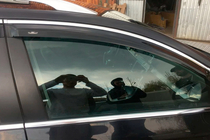 Volkswagen Passat B6 2006–2012 Deflektorji oken s kromirano letvico SW (4 kosi, HIC) fotografija 9
