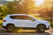 Pregled križanca Seat Ateca (drugi) fotografija 13