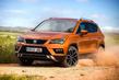 Pregled križanca Seat Ateca (drugi) fotografija 12