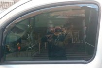 Mercedes Citan 2013–2021 Vstavljivi deflektorji za okna (2 kos, HIC) fotografija 7