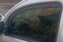 Mercedes Citan 2013–2021 Vstavljivi deflektorji za okna (2 kos, HIC) fotografija 9