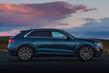 Pregled premijskega križanca Audi Q8 s štirikolesnim pogonom fotografija 10
