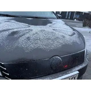 Zimska zaščita hladilne maske (EU/USA) fotografija 2