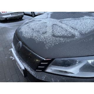 Zimska zaščita hladilne maske (EU/USA) fotografija 4