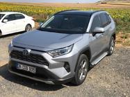 Toyota Rav 4 2019–2025 Stranske stopnice Allmond Grey (2 kosa, aluminij) fotografija 6