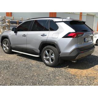 Stranske stopnice Tayga Grey (2 kos, aluminij) fotografija 4