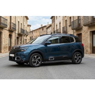 Stranske stopnice Allmond Black (2 kos, aluminij) Citroen C5 Aircross 2017–2025 fotografija 1