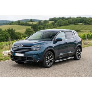 Stranski pragovi Tayga V2 (2 kosa, aluminij) fotografija 1