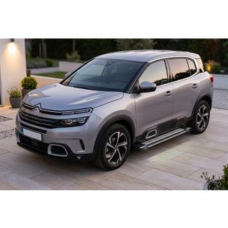 Stranske stopnice Rainbow (2 kosa, aluminij) Citroen C5 Aircross 2017–2025 fotografija 1