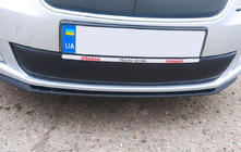 Skoda Fabia 2007–2014 Zimski pokrov maske (2011-2014, spodnji) Mat fotografija 1