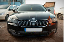 Skoda Superb 2015–2024 Zimska obloga za masko hladilnika (2015-2019, spodnja) Mat fotografija 1