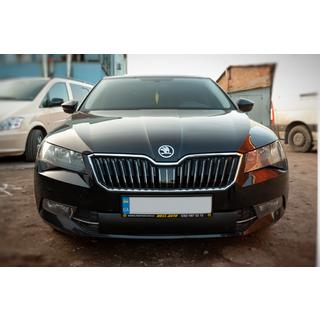 Zimska obloga za masko hladilnika (2015-2019, spodnja) fotografija 1