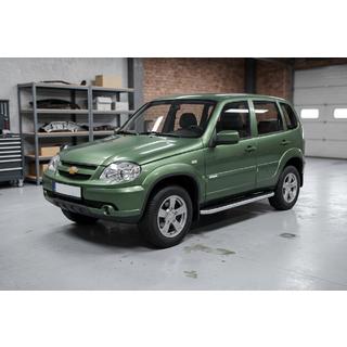 Stranske stopnice Tayga Grey (2 kos, aluminij) fotografija 1