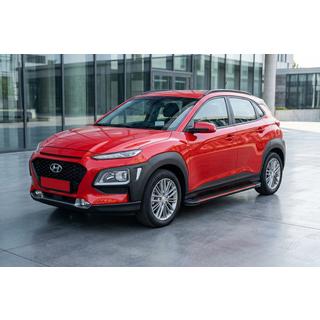 Stranske stopnice Maya Red (2 kosa, aluminij) fotografija 1
