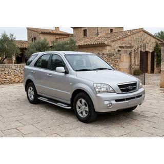 Bočne stopnice Tayga V2 (2 kosa, aluminij) fotografija 1