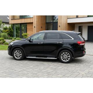 Bočne stopnice Tayga V2 (2 kosa, aluminij) fotografija 1